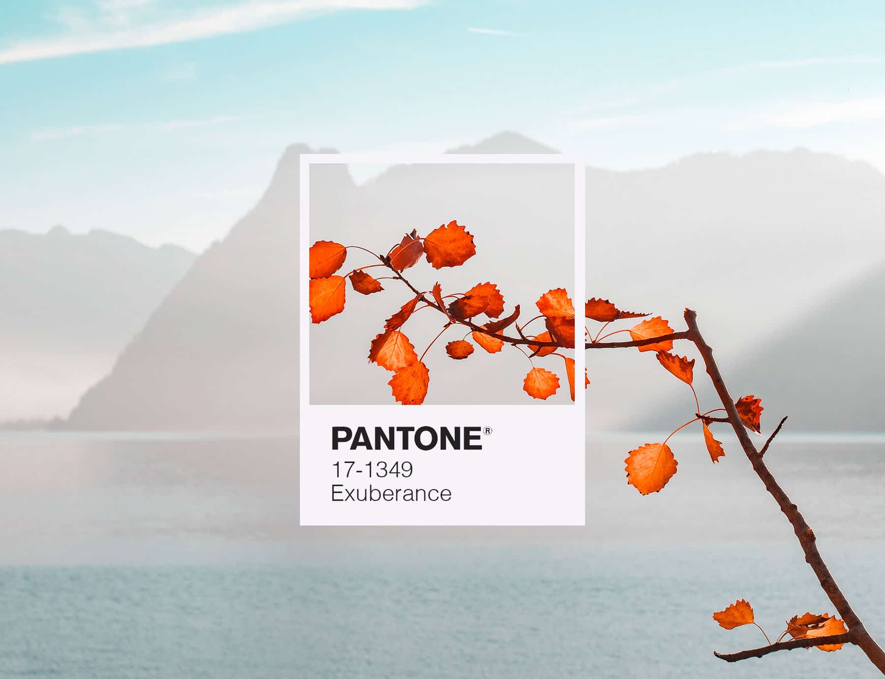 Colori Pantone autunno/inverno 2020/2021 · Web Designer ...